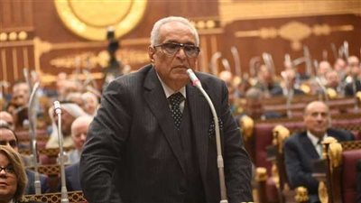 وكيل الشيوخ: لدينا قوانين سقيمة لا تناسب ما يؤسس له الرئيس من دولة حديثة