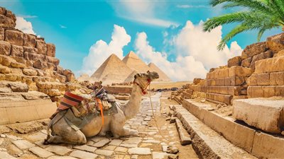 السياحة العالمية 2025.. ارتفاع الرحلات الدولية ومصر تتصدر النمو