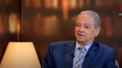 أستاذ علاقات دولية: مصر تسهل دخول المساعدات الإغاثية لغزة