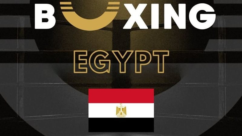 الاتحاد المصري للملاكمة 