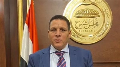 عضو بالشيوخ: تصريحات ترامب خطيرة وغير مسبوقة على المنطقة
