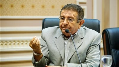 «أفريقية النواب»: الاصطفاف خلف القيادة السياسية قوة لمواجهة التهجير 