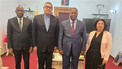 رسالة من الرئيس السيسي لنظيره في إفريقيا الوسطى تتعلق بتعزيز العلاقات للبلدين