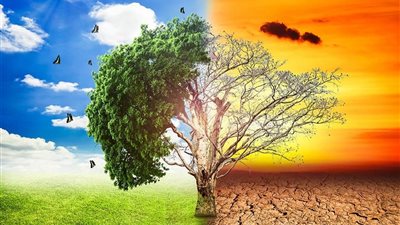 الأمم المتحدة تتساءل: هل يمكن تجنب أسوأ عواقب لأزمة تغير المناخ؟ 