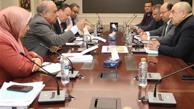 تأكيداً للجمهور.. وزير الكهرباء يُعلن زيادة الاستهلاك الشهري لـ 7% 