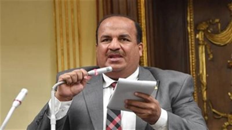 وكيل لجنة الشئون الاقتصادية بمجلس النواب