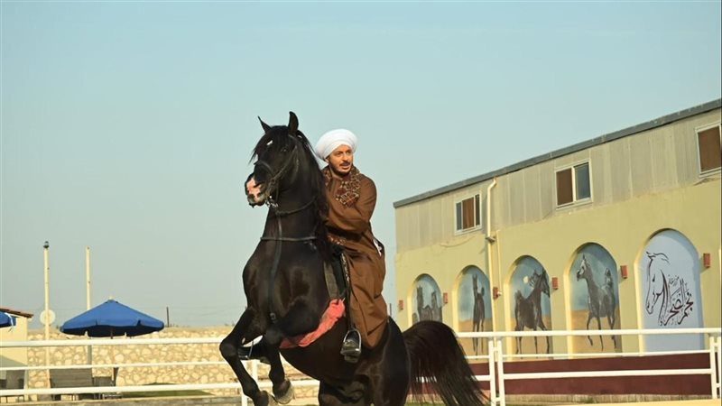 مصطفى شعبان