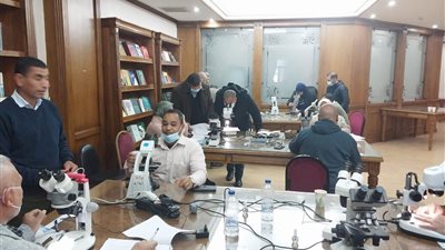 «الصحة» تنظم ورشة لتدريب المدربين على تصنيف البعوض ومكافحة ناقلات الأمراض