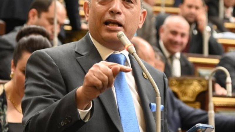 النائب فريد البياضي 