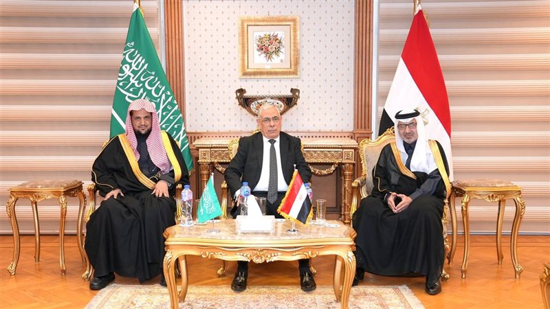 المستشار محمد شوقي 