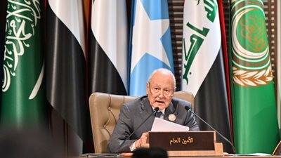 أبو الغيط: إسرائيل المستفيد الوحيد من 2011 والربيع العربي