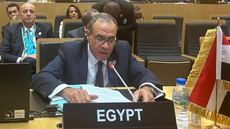 وزير الخارجية بدر عبد العاطي 