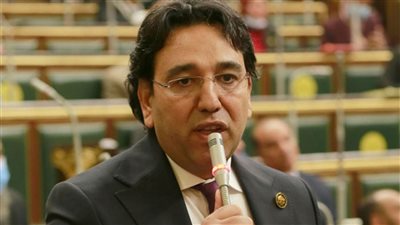وكيل «عربية» النواب: مصر تقود ملحمة سياسة وإنسانية ستسجل في التاريخ