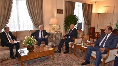 الجامعة العربية تبحث جهود وقف العدوان الإسرائيلي على غزة