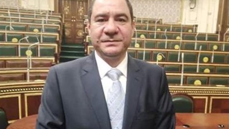 النائب ايهاب انيس