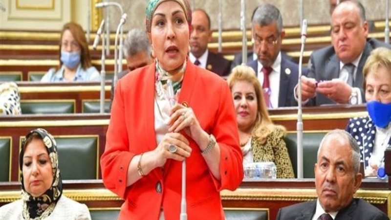 النائبة هالة أبو السعد