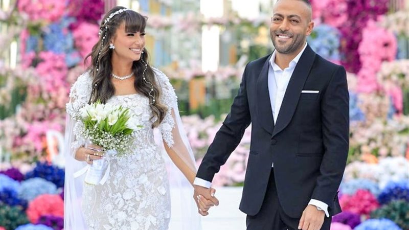 الفنان تامر عاشور