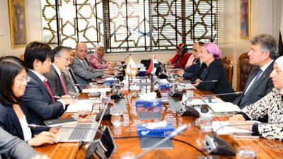 شراكة مصرية يابانية للحد من استخدام الأكياس الأحادية