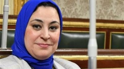 استنكار برلماني من دعوات نزوح الفلسطينيين إلى سيناء