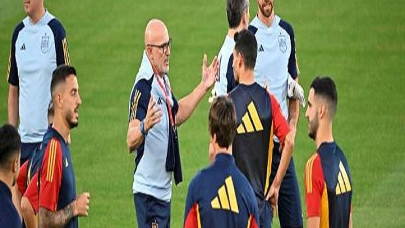 مدرب منتخب إسبانيا