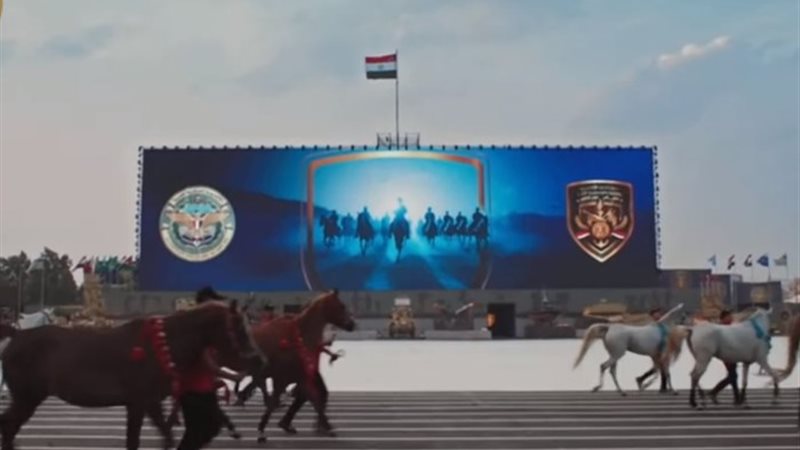 عرض الفروسية
