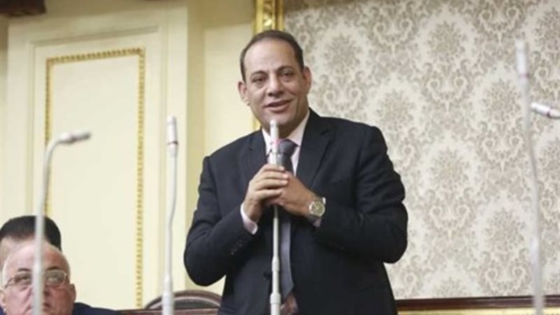 النائب ابراهيم عويس