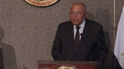 وزير الخارجية: يجب الوقف الفوري للعنف في غزة