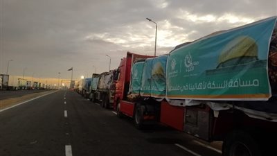 باتجاه معبر رفح.. بدء تحرك شاحنات تحمل مساعدات لقطاع غزة