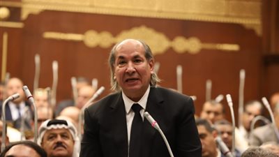 عضو بـ «الشيوخ»: الأمم لن ترضى بظلم فلسطين وحلم إسرائيل لن يتحقق