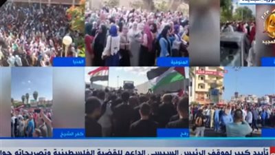 تظاهرات لدعم فلسطين فى المنوفية .. صور