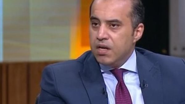 المستشار محمود فوزي