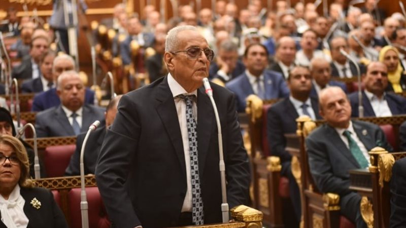 النائب بهاء الدين أبوشقة وكيل مجلس الشيوخ