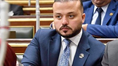 مطالب برلمانية بسحب السفير المصرى من تل أبيب