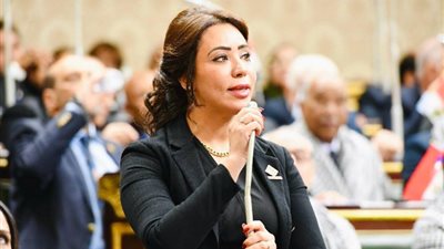 النائبة غادة علي: المؤسسات الدولية والمنظمات الحقوقية تكيل بمكيالين
