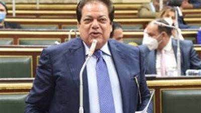 أبو العينين: نؤيد الرئيس السيسي في القرارات التي يتخذها في القضية الفلسطينية