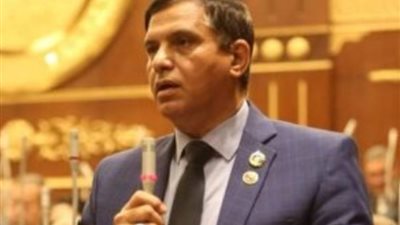 وكيل دفاع الشيوخ: كلمة الرئيس السيسي بقمة القاهرة خطوات لتحقيق السلام العادل