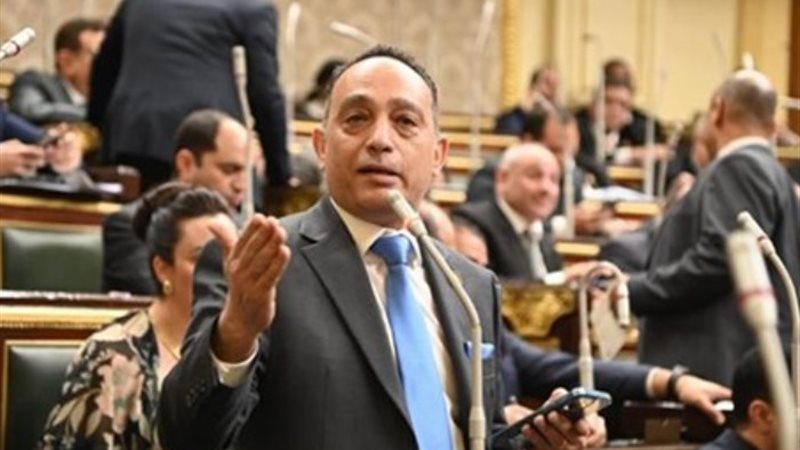 النائب فريدي البياضي