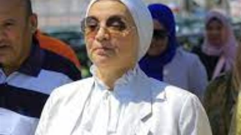 ميرفت السيد