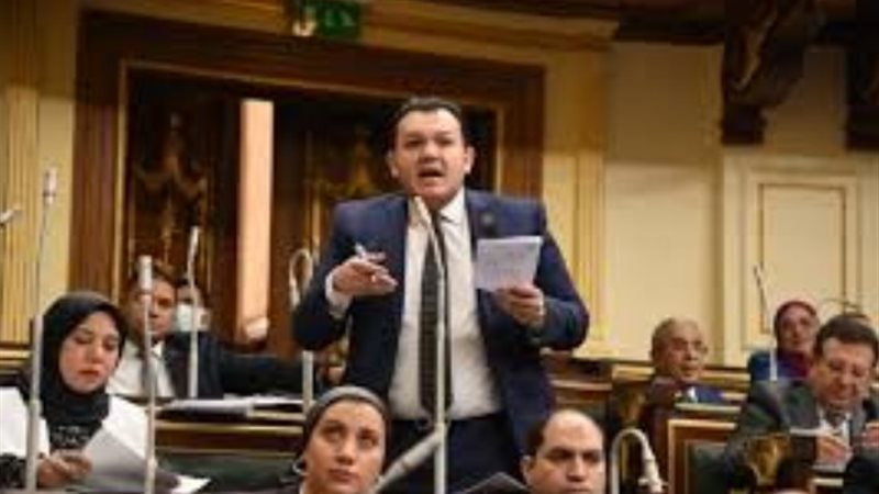 النائب أحمد مقلد