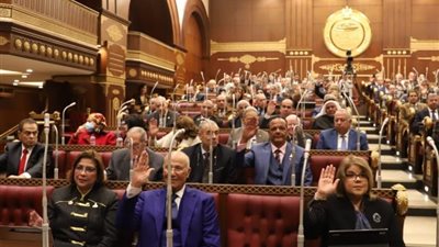 مجلس الشيوخ يحيل تقريرًا للحكومة بشأن أزمة الأسمدة