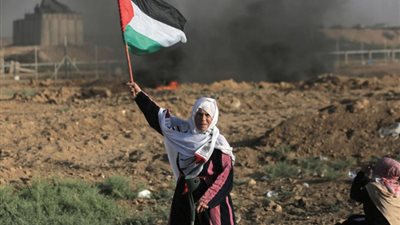 خبير استراتيجي يتضامن مع حملة الجمهور «افضحوهم»