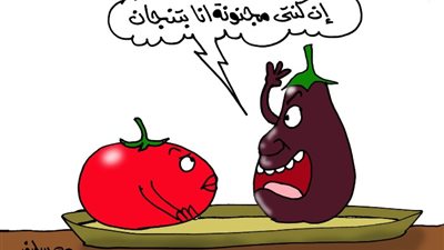 على طريقة «الجمهور».. مين سعره هيزيد أكتر ؟