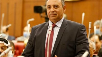 وكيل صناعة الشيوخ: كلمة الرئيس تضمنت رسائل قوية حول دور الجيش وقوة مصر