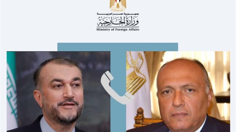 وزير الخارجية المصري ونظيره الإيراني