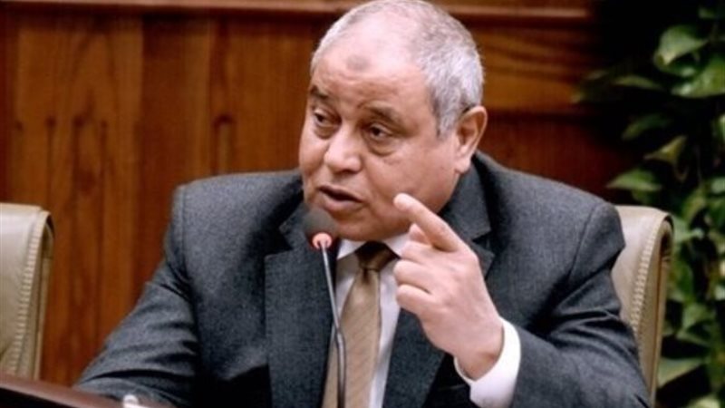 النائب إبراهيم عبدالنظير عضو مجلس النواب