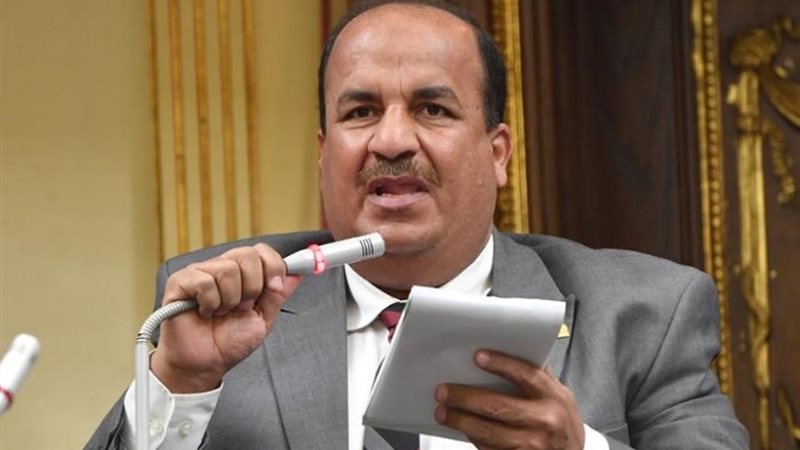 النائب محمد عبد الحميد