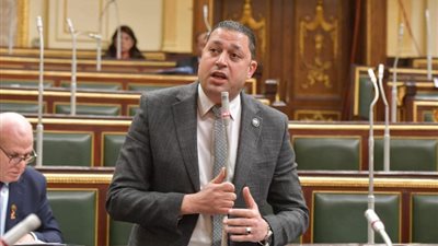 برلماني: قانون الزراعة موجود بمجلس الوزراء لمناقشة تفاصيله بالكامل