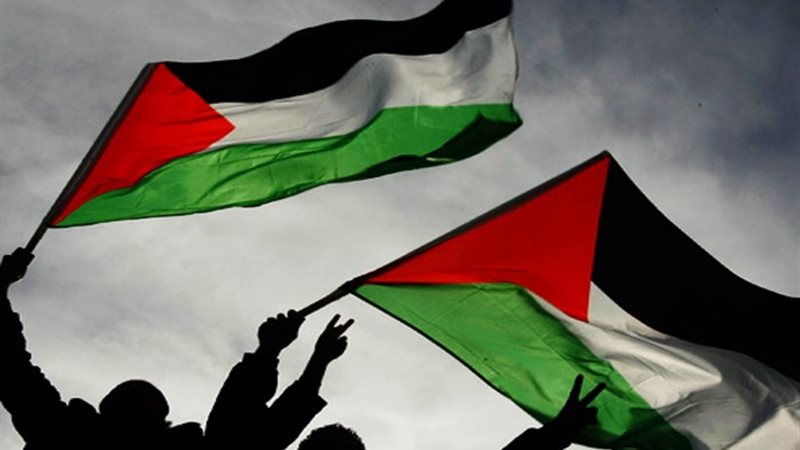 حملات دعم فلسطين