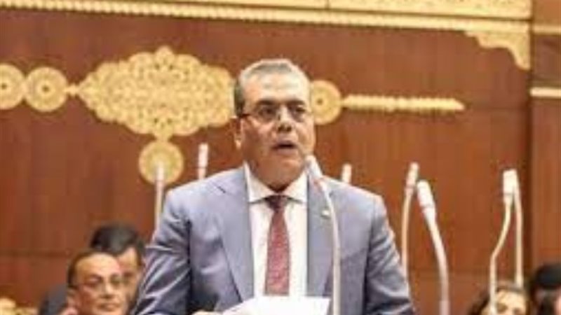 النائب محمود منصور