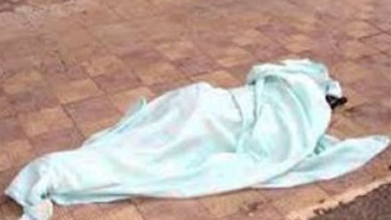 ارشيفية